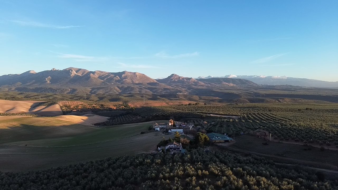 The cortijo and its groves with the snow-capped sierra beyond